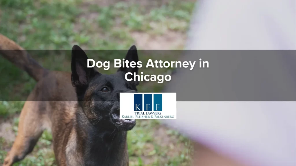 Dog Bites Attorney in Chicago